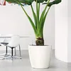 LECHUZA-Vase à plantes CLASSICO Premium LS 50 blanc Voir les images du produit 10