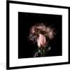 MuchoWow® MuchoWow® Gerahmtes Poster Rosen - Blumen - Rosa Produktbild-Vorschau 1