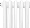 Radiatore tradizionale a 3 colonne - 300 x 832 mm - Bianco Anteprima dell’immagine prodotto 3