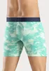 Bruno Banani Langer Boxer 4 -teilig mint Produktbild-Vorschau 2