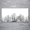 Glasbilder 120x60 Wandbild Druck auf Glas Bäume Natur Produktbild-Vorschau 2