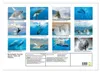 Buckelwale: Aus den blauen Tiefen der Ozeane (Wandkalender Produktbild-Vorschau 2