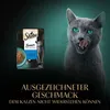 SHEBA® Portionsbeutel Sauce Collection Sauce Lover mit Produktbild-Vorschau 10