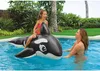 Nadmuchiwany wieloryb Intex 193 x 119 cm Podgląd zdjęcia produktu 21
