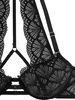 LASCANA Push-up-BH Sienna schwarz Größe 75 Cup A Produktbild-Vorschau 4