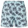 Happy Shorts Herren Boxer Sommer Style palms - Größe XL Produktbild-Vorschau 5