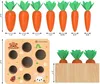 Montessori-Holz-Sortierspiel für Babys von 1 bis 4 Jahren – Produktbild-Vorschau 3