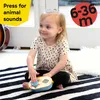 BABY EINSTEIN Discovery Radio™ HAPE 6m+ Podgląd zdjęcia produktu 2