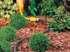Hozelock Tropfschlauch 10 m Produktbild-Vorschau 5