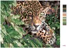 Zuty - Malen nach Zahlen - GEPARD, 40x50 cm, mit Keilrahmen Produktbild-Vorschau 3