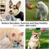 Quietschendes Spielzeug für Hunde, 6 PCS Rubber Bouncy Egg Produktbild-Vorschau 4