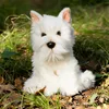 Pluszowy Westie Podgląd zdjęcia produktu 4