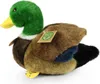 RAPPA Plsch-Ente 20 cm ECO-FRIENDLY Produktbild-Vorschau 5