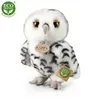 Rappa Plüsch weiße Eule Kuscheltier 25 cm ECO Spielzeug Produktbild-Vorschau 7