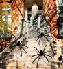 Tg53254 Obří Chlupatý Pavouk Strašidelný Halloween Velký Náhled obrázku produktu 6