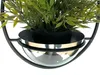 A close-up view of a hanging planter with a green plant inside, set against a white background. Anteprima dell’immagine prodotto