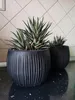 Kvetináč s vložkou BETON BOWL 23,8 cm - čierny Náhľad obrázku produktu 11