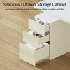 Ensemble de caisson de bureau FLEXISPOT pour bureaux Voir les images du produit 4
