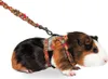 Harnais Art Joy taille. M lapin, cochon d'Inde, furet KAR Voir les images du produit 3