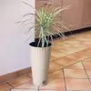 A tall, woven planter with a green and white plant inside, placed on a tiled floor next to a wall and kitchen cabinets. Produktbild-Vorschau