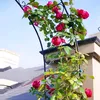 Arco di rose, arco a volta, arco rampicante, traliccio per Anteprima dell’immagine prodotto 10