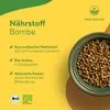 Bockshornklee Aktiviert - 300 Kapseln (650mg) - Hochdosiert Produktbild-Vorschau 3