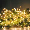 A close-up of a string of warm white LED lights wrapped around a pine branch. Voir les images du produit
