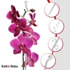 KOTARBAU® 2er Set Pflanzenstütze Transparent PVC 58 cm Produktbild-Vorschau 6