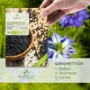 Graines de cumin noir- Graines d'herbes aromatiques issues Voir les images du produit 2