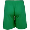 Puma Teamrise Shorts Herren - Grün Produktbild-Vorschau 9