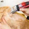 Hunde- und Katzentrimmer-Pflegeset Rasierer mit 4 Produktbild-Vorschau 16