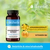 Bioherba Johanniskraut Extrakt 260 mg 100 Kapseln Produktbild-Vorschau 4