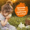 IdaPlus Vitaminkonzentrat VitalBoost 4in1 200 ml Produktbild-Vorschau 8