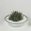 Zinkwanne Zink-Schale als runde Pflanzschale Deko-Schale Produktbild-Vorschau 6