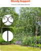 sada 4 popínavých mřížek na popínavé rostliny 51x220 cm Náhled obrázku produktu 2
