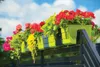 Geländerkasten FALA weiß 30 cm Produktbild-Vorschau 7