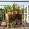 A collection of potted plants arranged on a wooden crate on a balcony. Náhled obrázku produktu