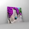 Bilder auf glas - Pflanzen Bank Straße Sommer - 60x60cm - Produktbild-Vorschau 4