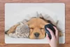 MuchoWow® Schreibtischunterlage Haustiere - Hund - Katze - Produktbild-Vorschau 3