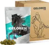 A pouch of horse supplement and its cardboard box packaging. Anteprima dell’immagine prodotto