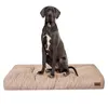 A Great Dane dog sits on a beige dog mattress. Voir les images du produit