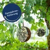 2 x 10 Stk. Lyra Pet®  Halbe Kokosnuss gefüllt mit Topping Produktbild-Vorschau 3