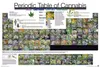 Poster Periodic Table of Cannabis 91.5x61cm. Produktbild-Vorschau 1