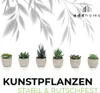 addhome 6er Set Kunstpflanzen Sukkulenten in Produktbild-Vorschau 4