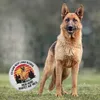 Deutscher Schäferhund mit Sonnenbrille Magnet - Mein Hund Produktbild-Vorschau 3