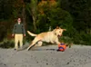 Chuckit! Kick Fetch S Produktbild-Vorschau 24