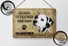 Blechschild Spruch 30x20cm Dalmatiner Hund ohne kein Heim Produktbild-Vorschau 2