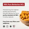 Berberine 1200mg (120 Kapseln) Nahrungsergänzungsmittel, Produktbild-Vorschau 7