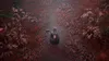 Silent Hill f [Day 1 uncut Edition] (PS5) Produktbild-Vorschau 18