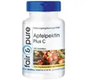 Apfelpektin Plus C 500mg Produktbild-Vorschau 1